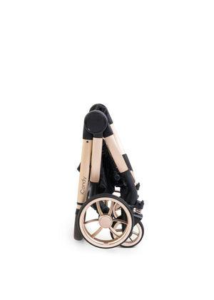Biscotti 2-1 kinderwagen